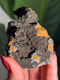 Image 4 of SUGAR DRUZY CHALCEDONY X MANGANESE -MOROCCO- O