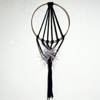Image 1 of Air Plant Hanger