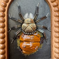Image 5 of Pumpkin spider (a, 5x6 inches)