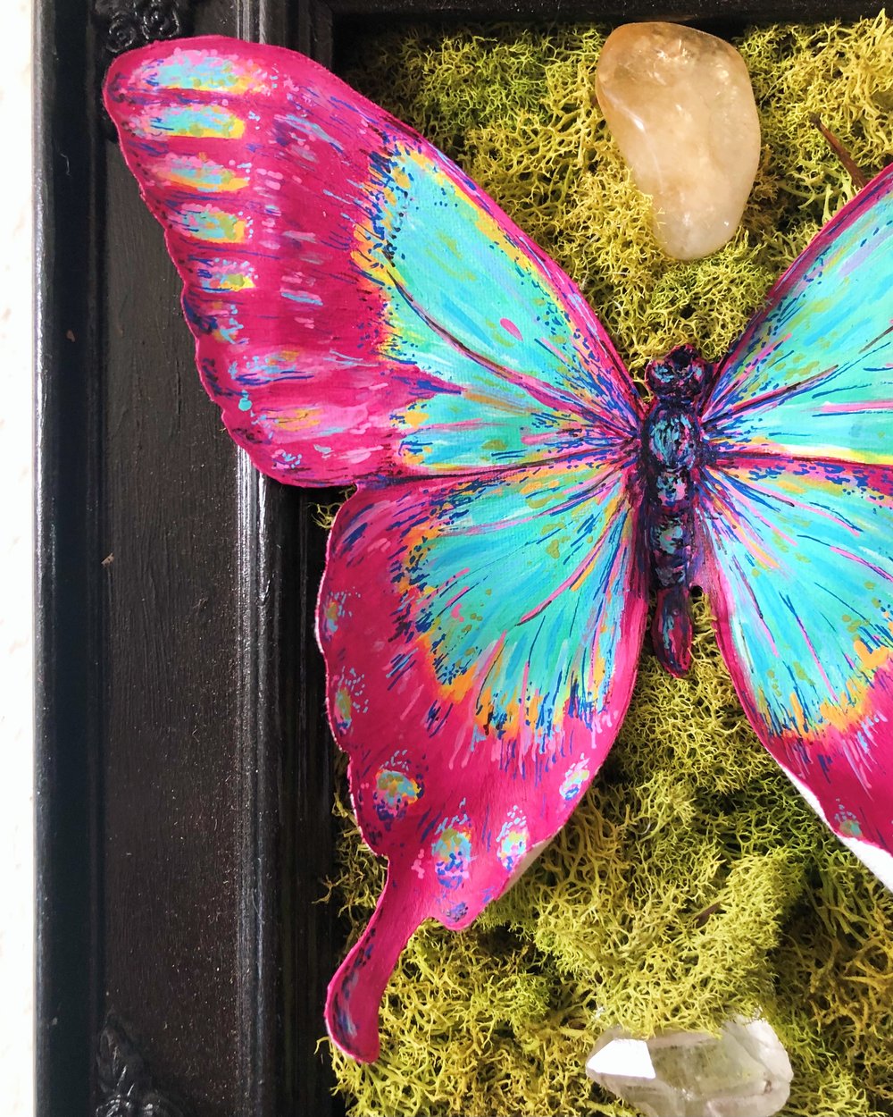 Image of Vegan Taxidermy - Butterfly