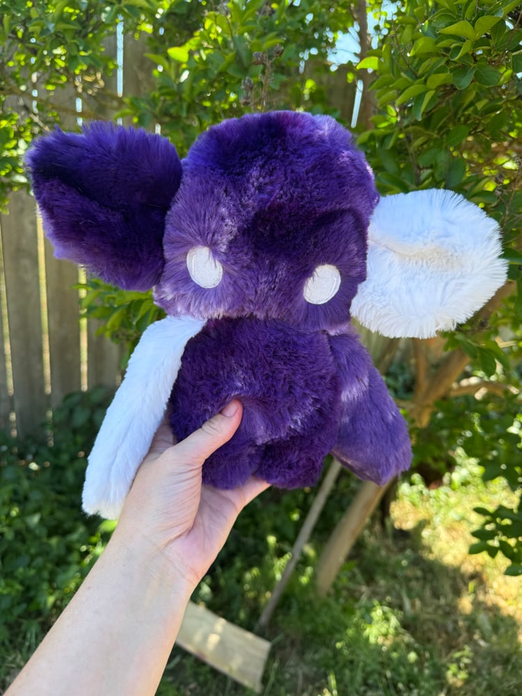Image of nursery void purple
