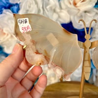 Image 2 of Flower Agate Butterfly Wings (54B)