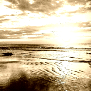 Image of The Sepia Raven -  Coalescing Reflections In The Well Of Time 