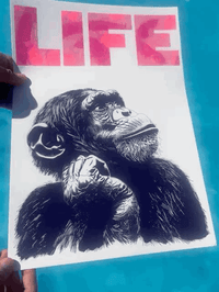 Image 2 of Life