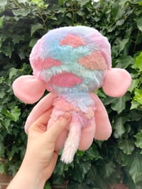 Image 3 of Rosey the Jumbo Sheep