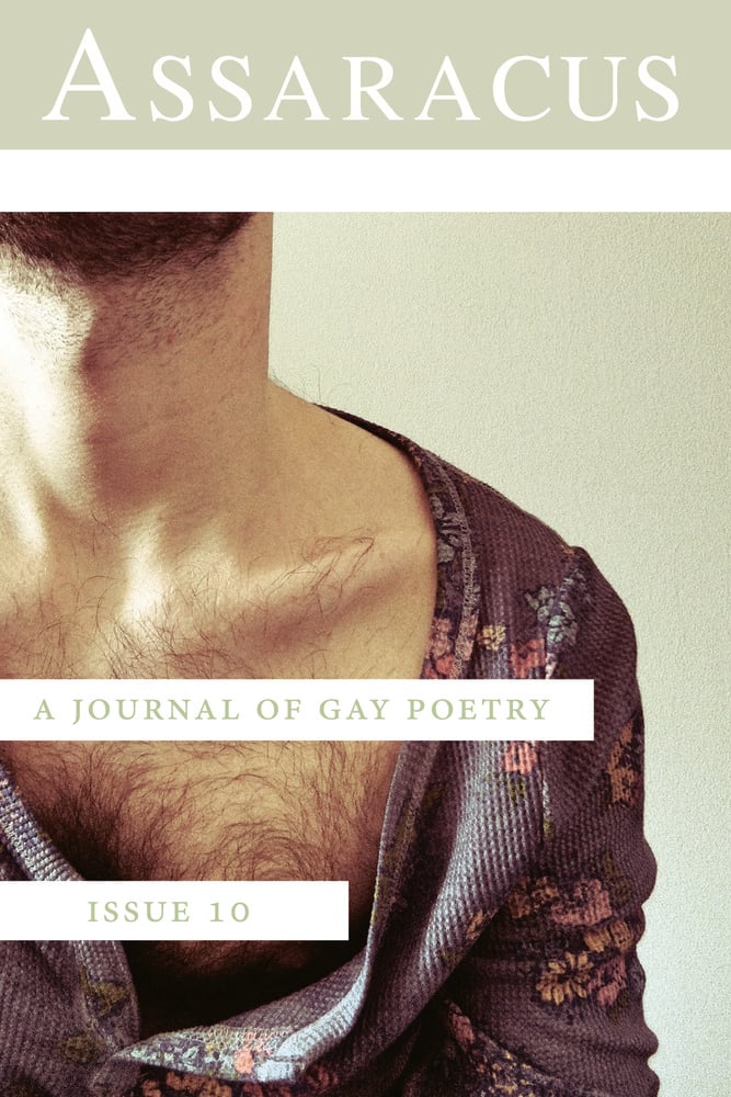 Image of Assaracus Issue 10: A Journal of Gay Poetry (Berg, Drummond, Schimel) 