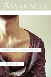 Assaracus Issue 10: A Journal of Gay Poetry (Berg, Drummond, Schimel) 