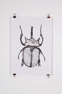 Image of Rhino Beetle Print