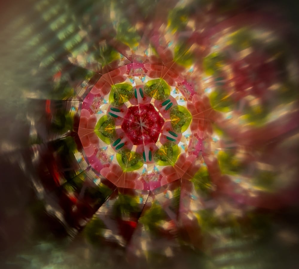 Image of Rose Garden Odyssey AuraScope
