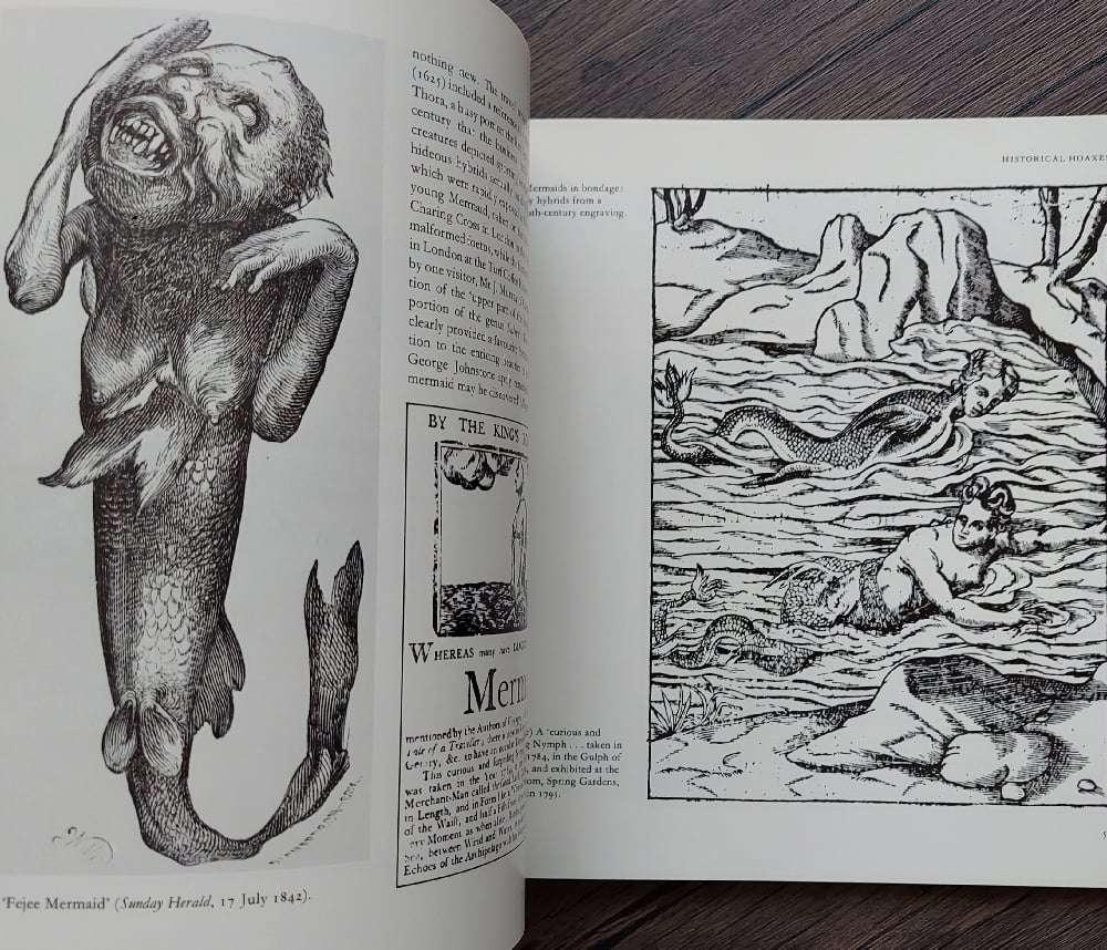 Mermaids by Beatrice Phillpotts