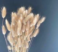 Image 1 of Natural bunny tails 