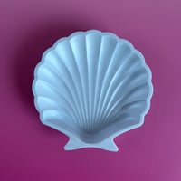 Image 3 of Tray SHELL “Shimmer”