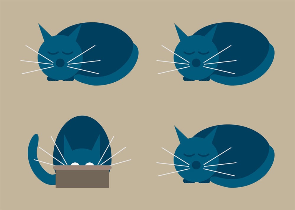 Cat Days Collection