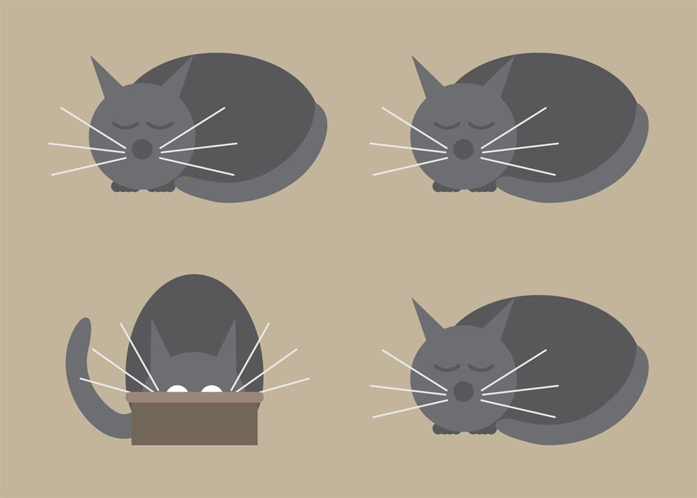 Cat Days Collection