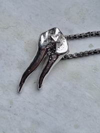 Image 3 of tooth with root 