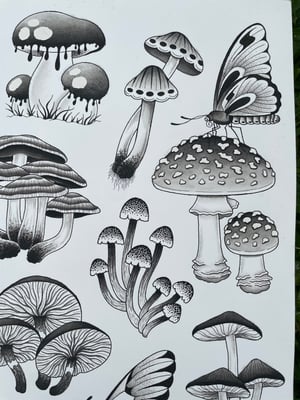 Image of Mushroom flash sheet 