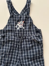Image 3 of Dalmatians shortall