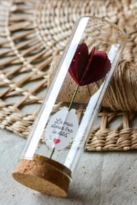 Image 2 of La melodia del cuore