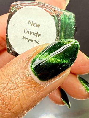 Image of New Divide