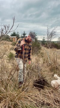 Image 1 of Plant a Tree 