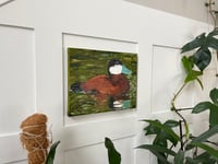 Image 4 of Ruddy Duck Oil Painting 8x10in