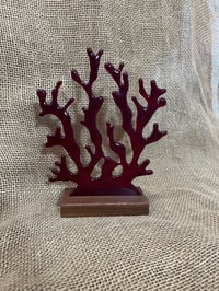 Image 3 of Red Coral