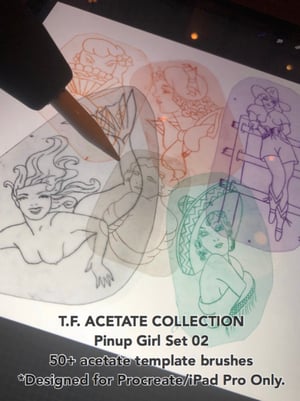 Image of Acetate Bundle 540 Stamps! For ipad procreate only!