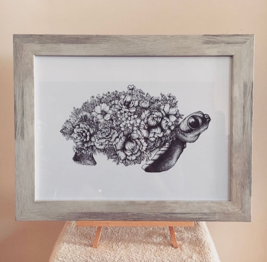 Image of Floral Turtle