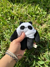 Image 1 of Mini Panda bloog