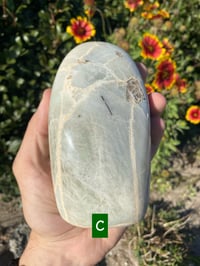 Image 3 of Polished Freeform’s 