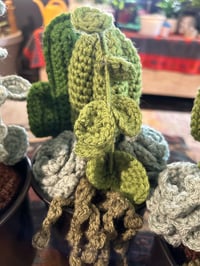 Image 3 of Succulent Planters
