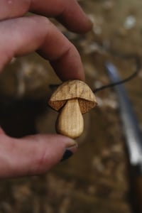 Image 3 of Penny Bun Mushroom 