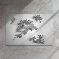 Image 2 of Metal print of The Ins and Outs