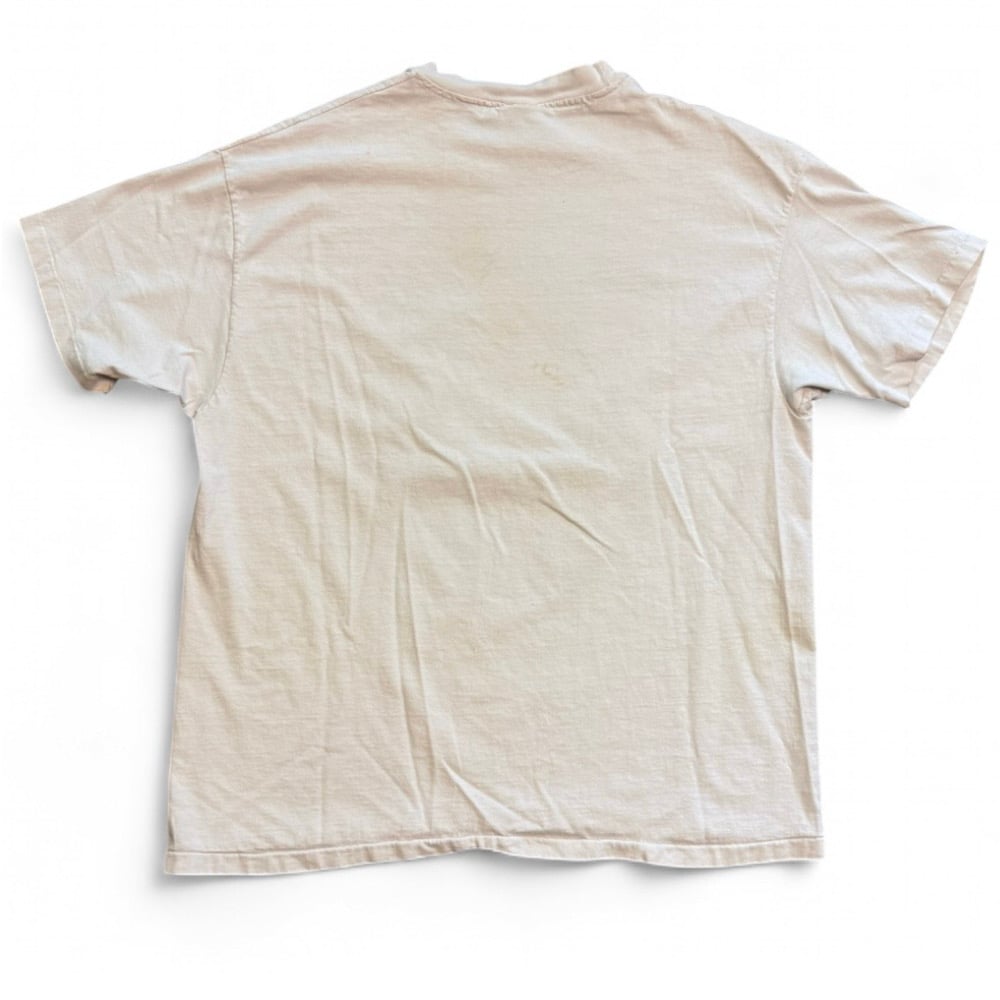 Image of 1990s Bearly Surving Panda Nature Graphic Tee  (XL)