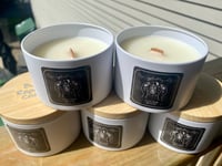 Image 1 of Bug Repellent candles 