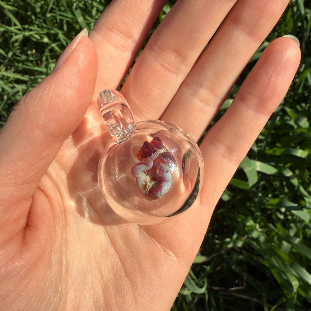 Image of Mushroom Micro Encapsulations