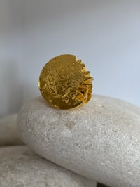 Image 4 of Anillos estructura grandes