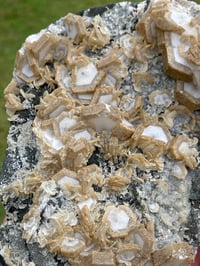 Image 7 of UV Cookie Calcite Specimen #1839