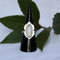 Image 2 of Shielded (Moonstone)