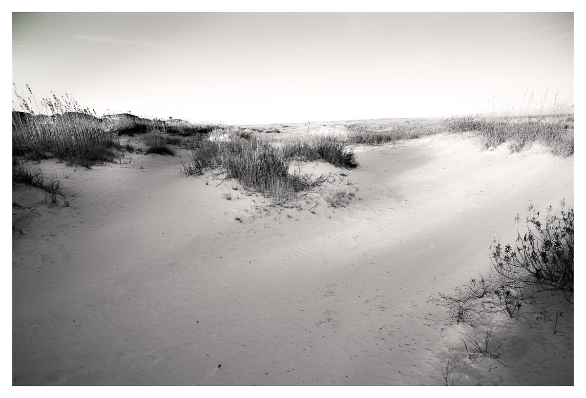 Image of Dune Shadows 