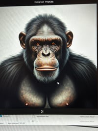 Image 4 of paint your own gorilla bust