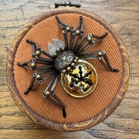 Image 4 of Jingle spider (b, 3.5 inches)