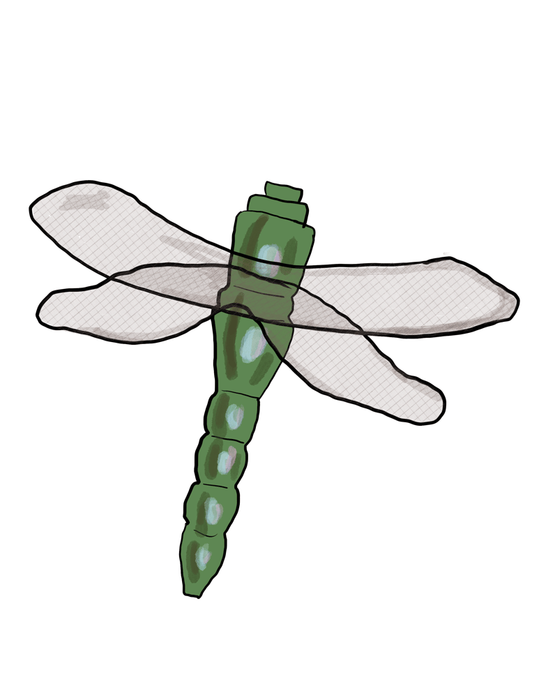Image of Bella’s Room Dragonfly Sticker