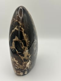Image 4 of Black Opal Freeform