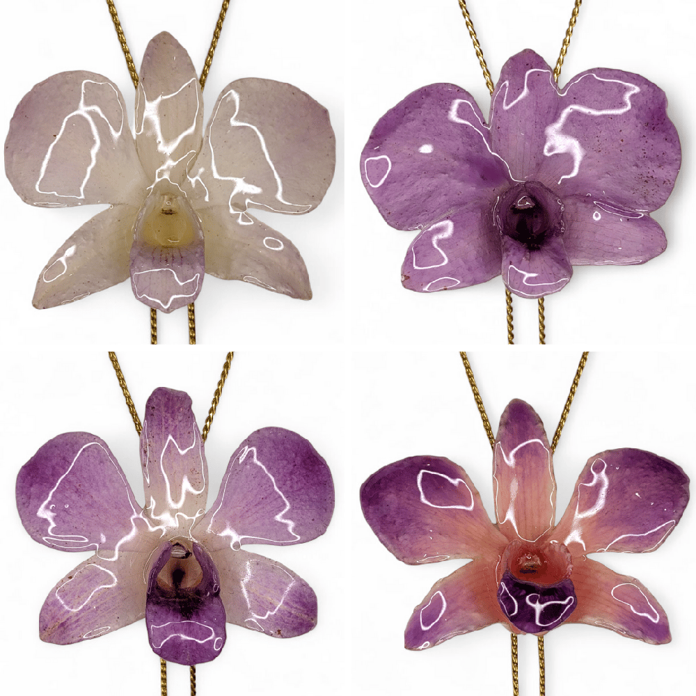 Image of Dendrobium Orchid Sliders (Purples)