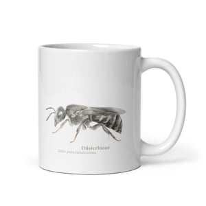 Anthidium Stelis Tasse