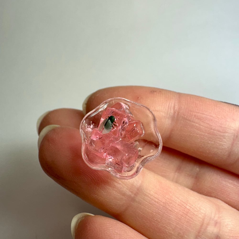 Image of Cubed Gelatin with Flies