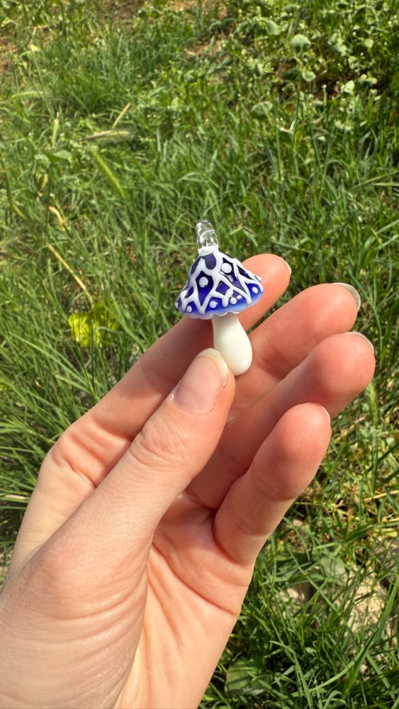 Image of Mandala Mushys