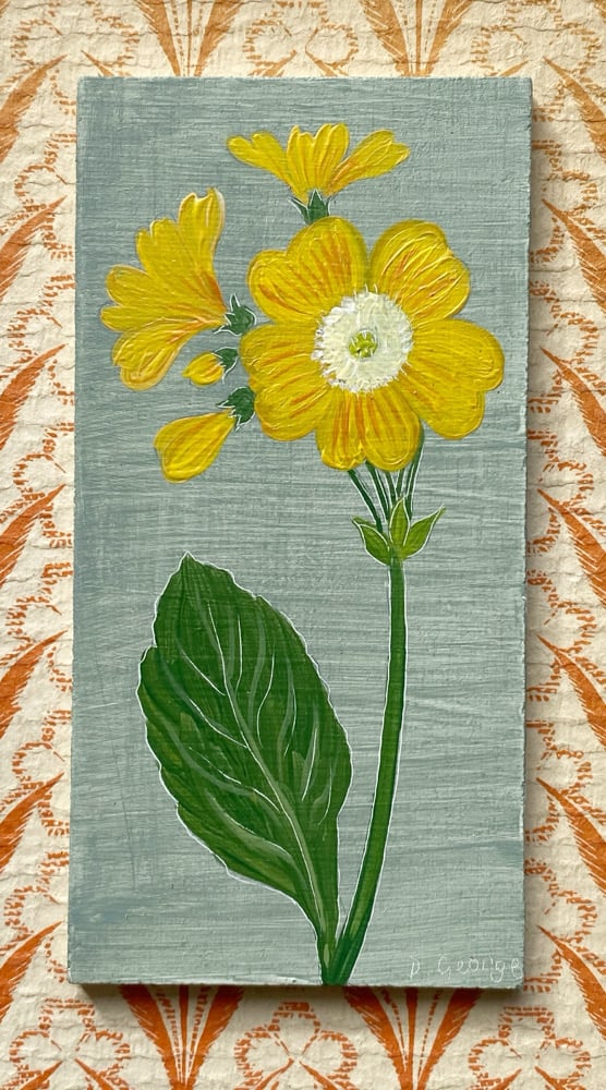 Image of Auricula
