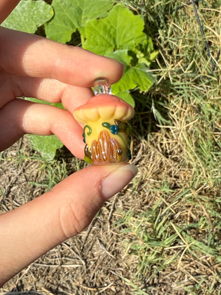 Image of Fairy Mushroom Houses